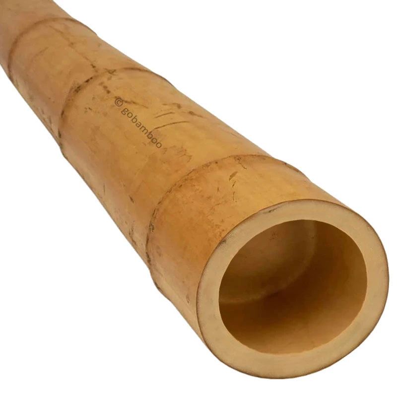 Moso Bambusstange Ø 12-14 cm