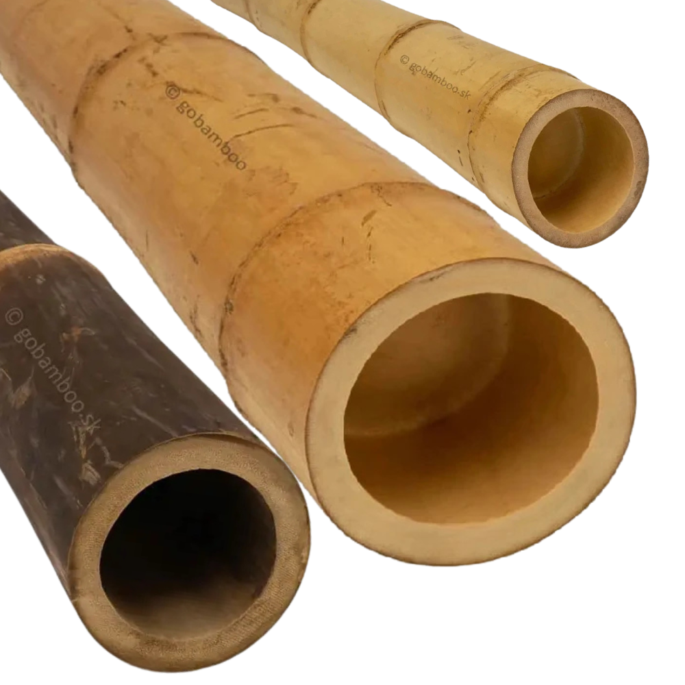 Bambusstangen