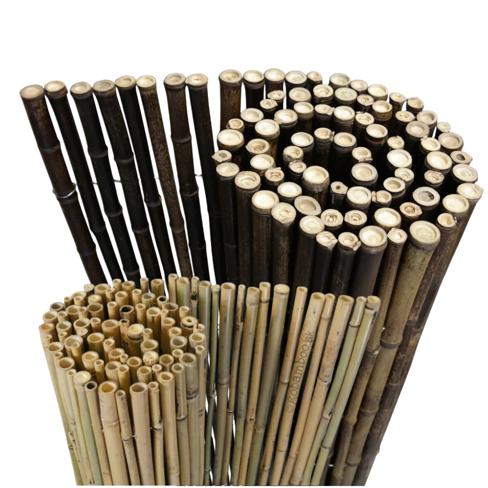 Ogrodzenia bambusowe w rolkach